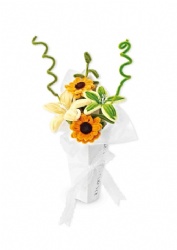 Pipe cleaner DIY flower set