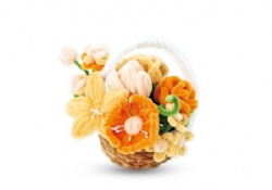 Pipe cleaner DIY flower set