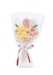 Pipe cleaner DIY flower set
