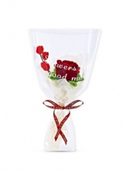 Pipe cleaner DIY flower set